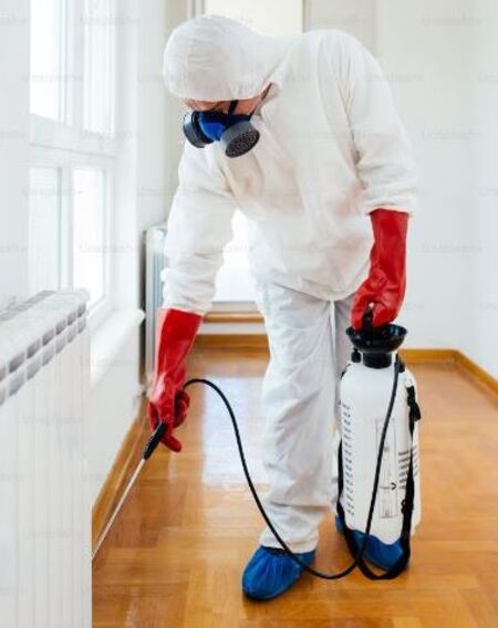 Pest Control and Fumigation Services