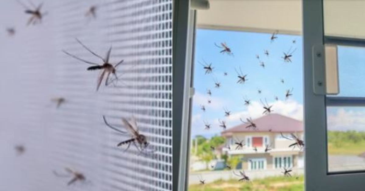 Magnetic Mosquito Mesh For Windows and Doors in Kenya